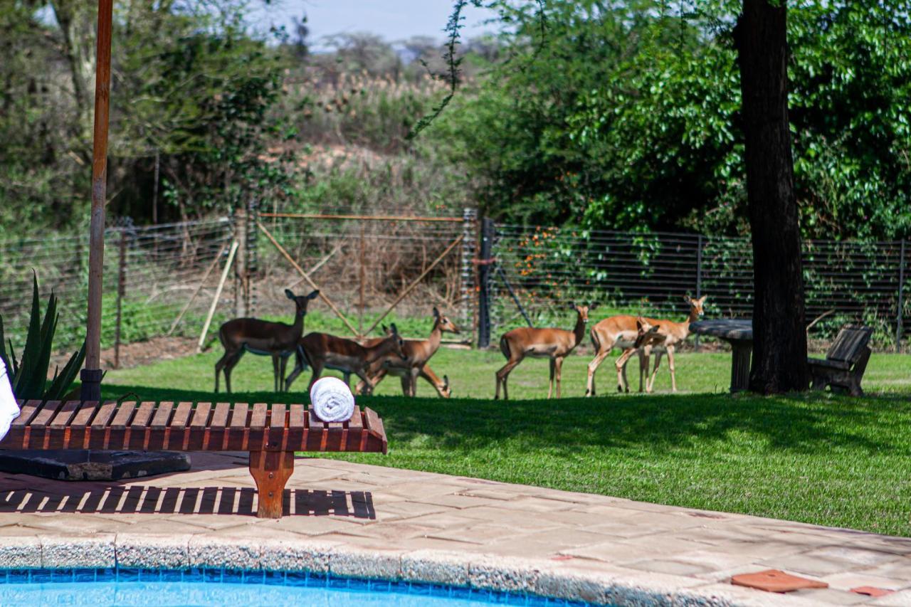 Machauka Lodge Lephalale Dış mekan fotoğraf